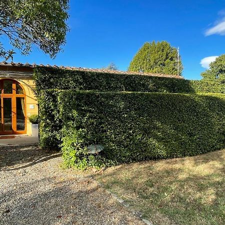 La Limonaia Villa Florens Exteriör bild