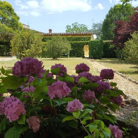 La Limonaia Villa Florens Exteriör bild