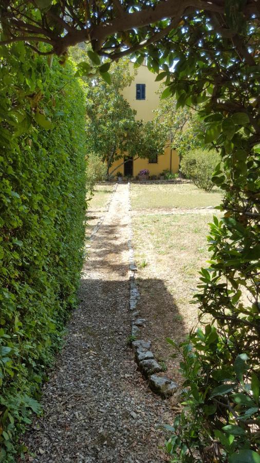 La Limonaia Villa Florens Exteriör bild