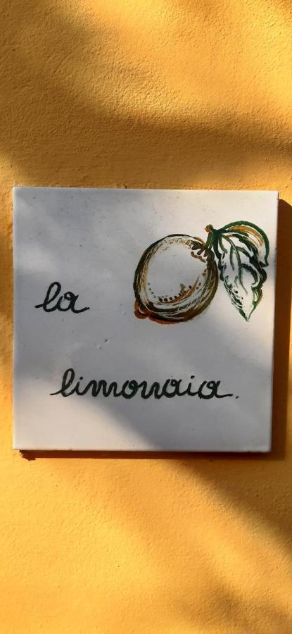 La Limonaia Villa Florens Exteriör bild